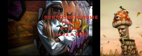 дурь Абаза