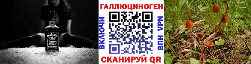 что такое   Тетюши  Псилоцибиновые грибы прущие грибы 
